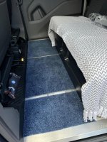 nugget_Carpet3.jpg